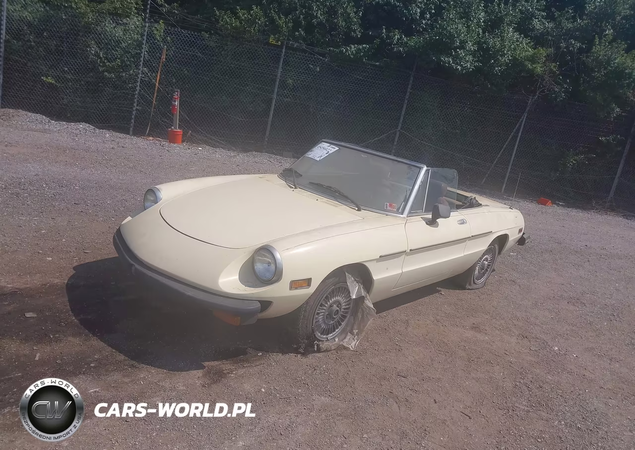 1978 Alfa Romeo Spider Convertible VIN:AR115410002059 - 2