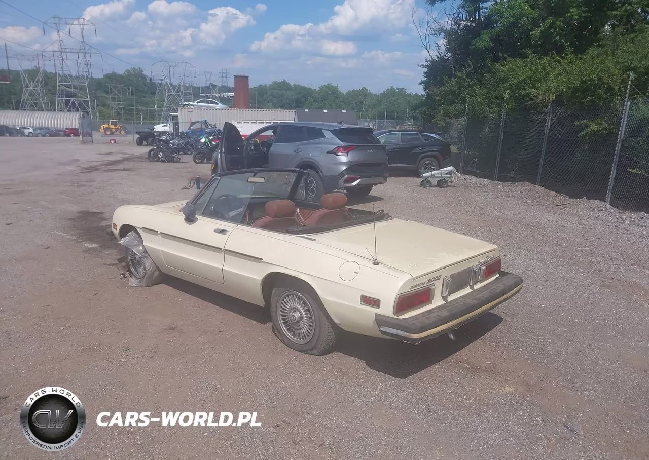 1978 Alfa Romeo Spider Convertible VIN:AR115410002059 - 3