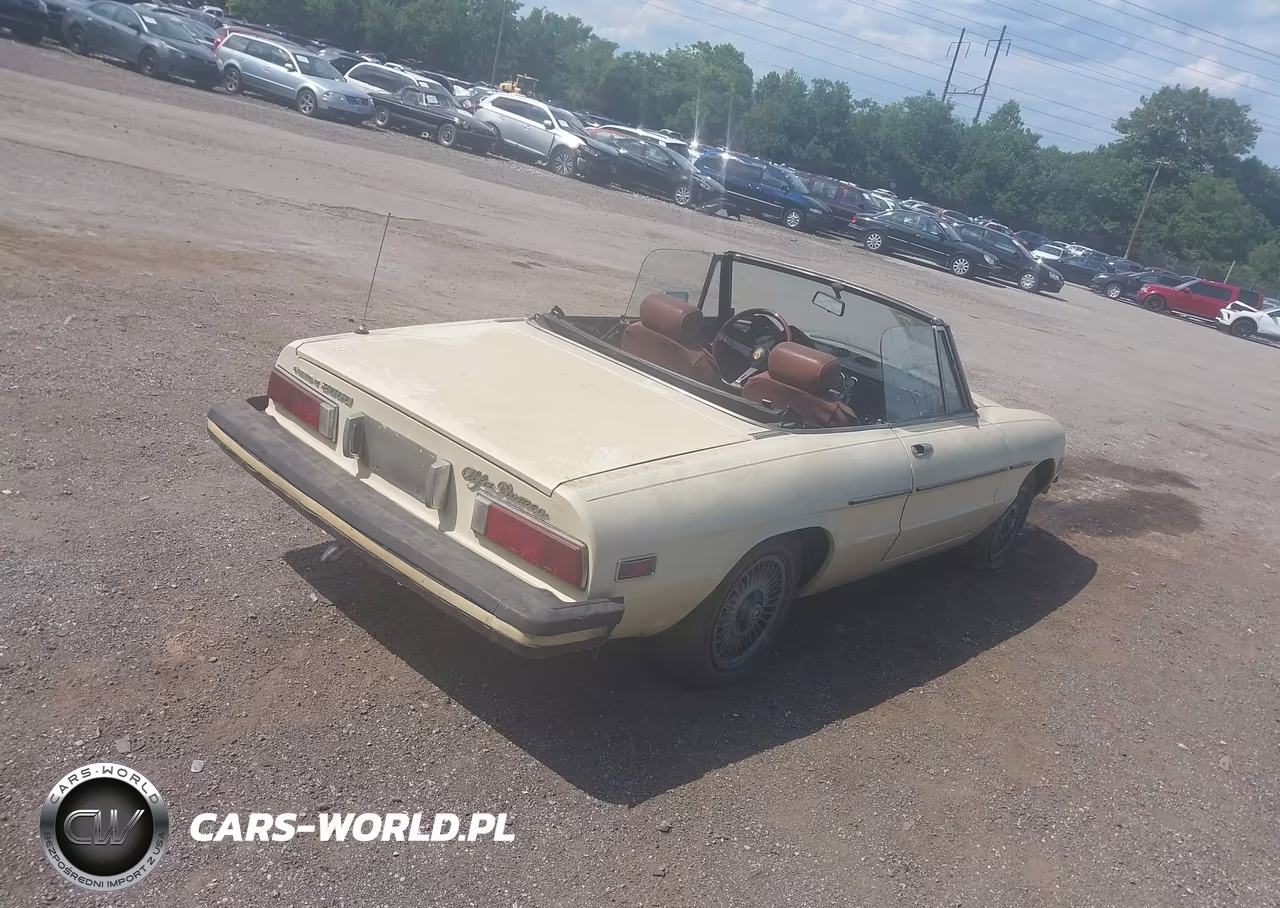 1978 Alfa Romeo Spider Convertible VIN:AR115410002059 - 4