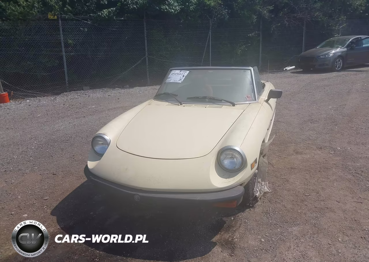 1978 Alfa Romeo Spider Convertible VIN:AR115410002059 - 6