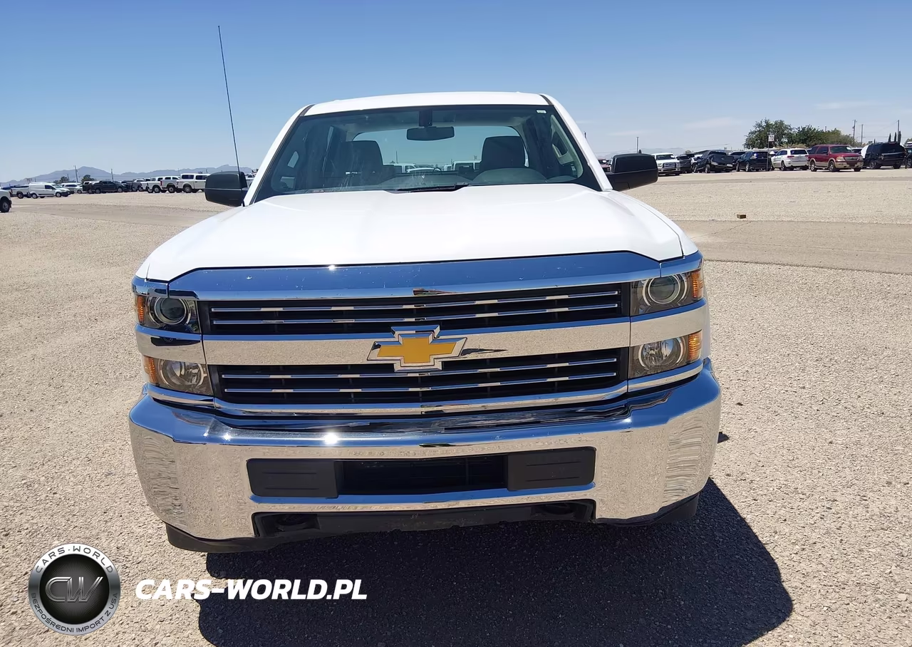 2018 Chevrolet Silverado 2500Hd Work Truck VIN:1GC1KUEG6JF257349 - 12