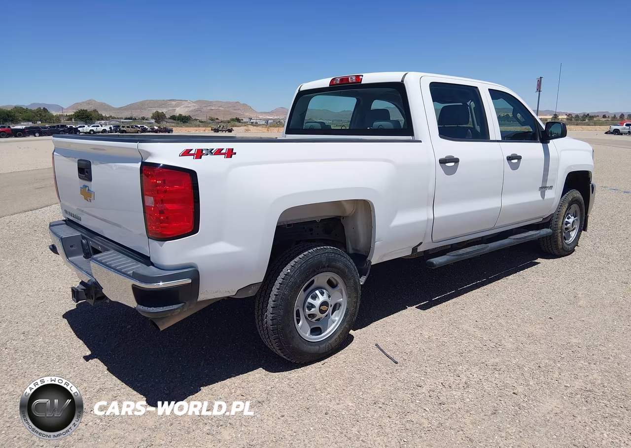 2018 Chevrolet Silverado 2500Hd Work Truck VIN:1GC1KUEG6JF257349 - 4