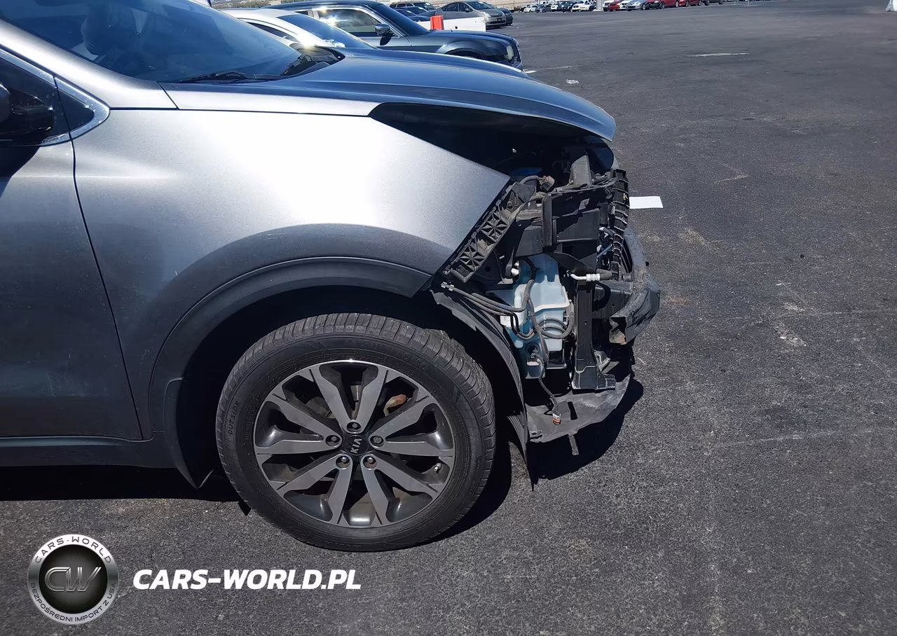 2017 Kia Sportage Ex VIN:KNDPN3AC4H7051790 - 18