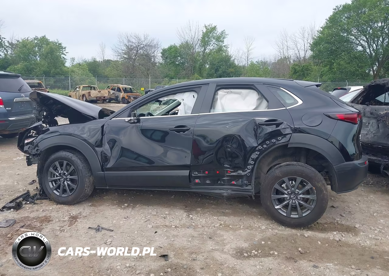 2025 Mazda Cx-30 2.5 S VIN:3MVDMBAM9SM821308 - 15