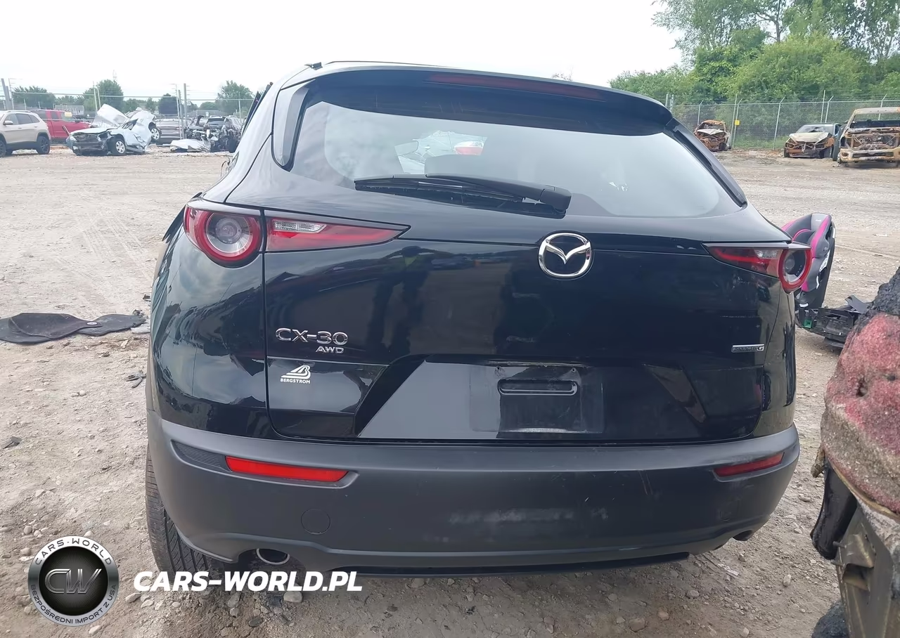 2025 Mazda Cx-30 2.5 S VIN:3MVDMBAM9SM821308 - 17