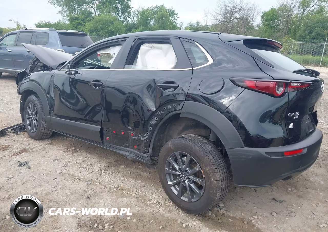 2025 Mazda Cx-30 2.5 S VIN:3MVDMBAM9SM821308 - 3