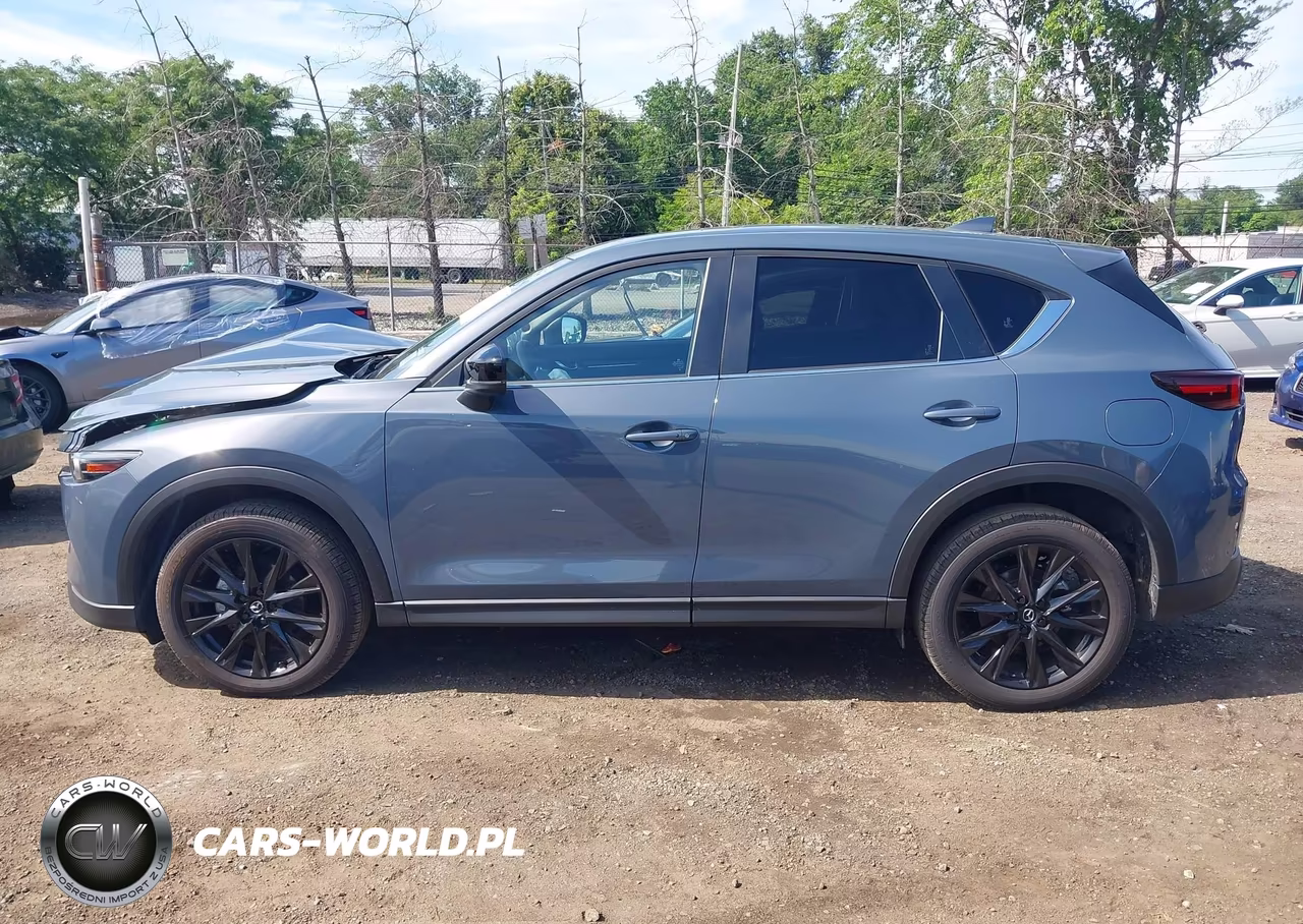 2025 Mazda Cx-5 2.5 S Carbon Edition VIN:JM3KFBCM3S0624306 - 14