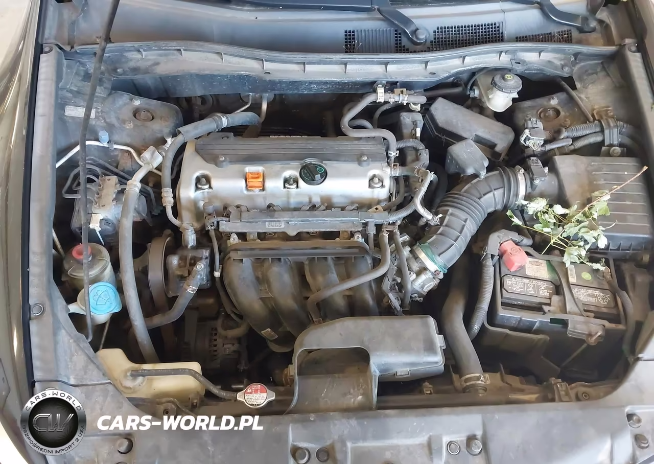 2009 Honda Accord 2.4 Lx-P VIN:1HGCP26499A166380 - 10