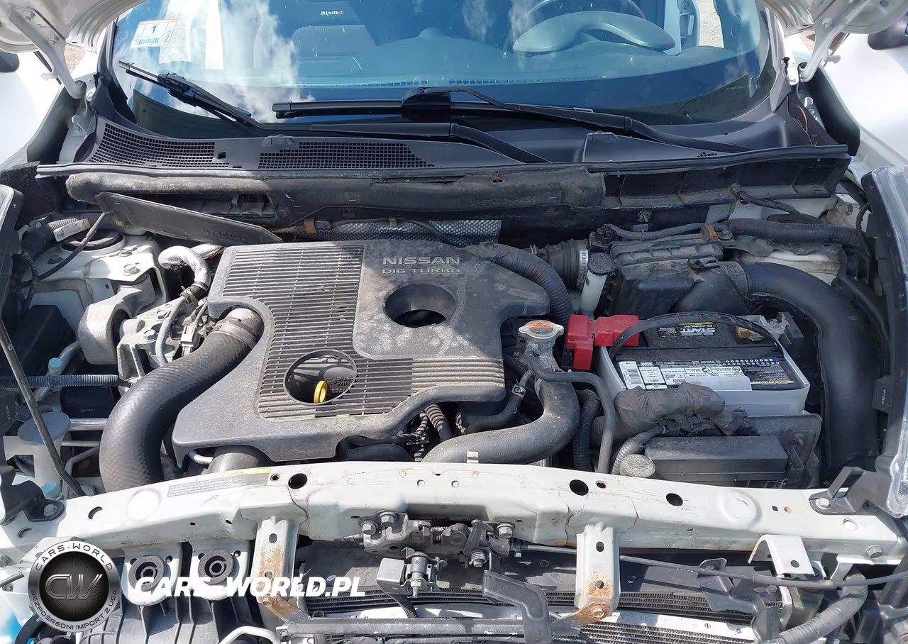 2014 Nissan Juke Nismo VIN:JN8AF5MVXET365317 - 10