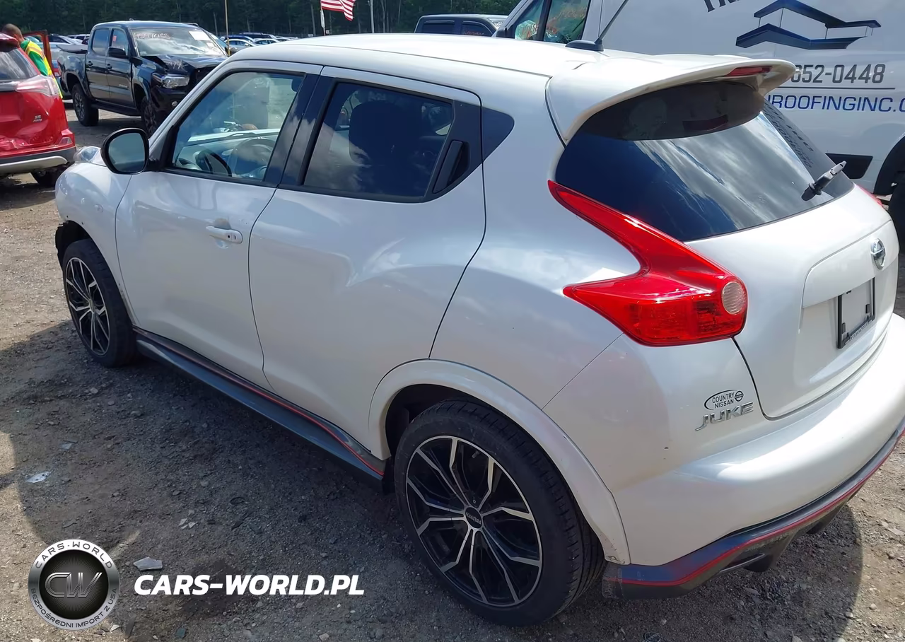 2014 Nissan Juke Nismo VIN:JN8AF5MVXET365317 - 3