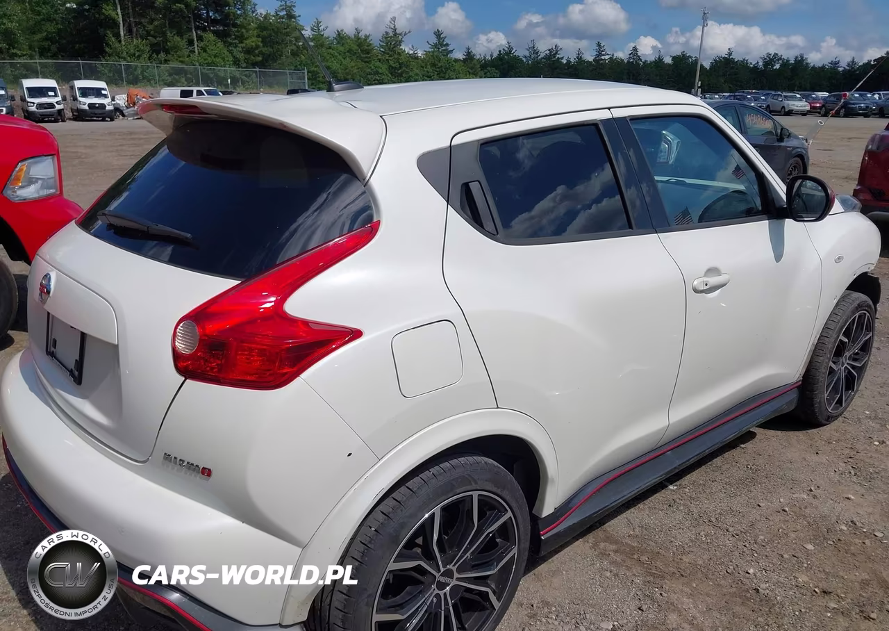 2014 Nissan Juke Nismo VIN:JN8AF5MVXET365317 - 4