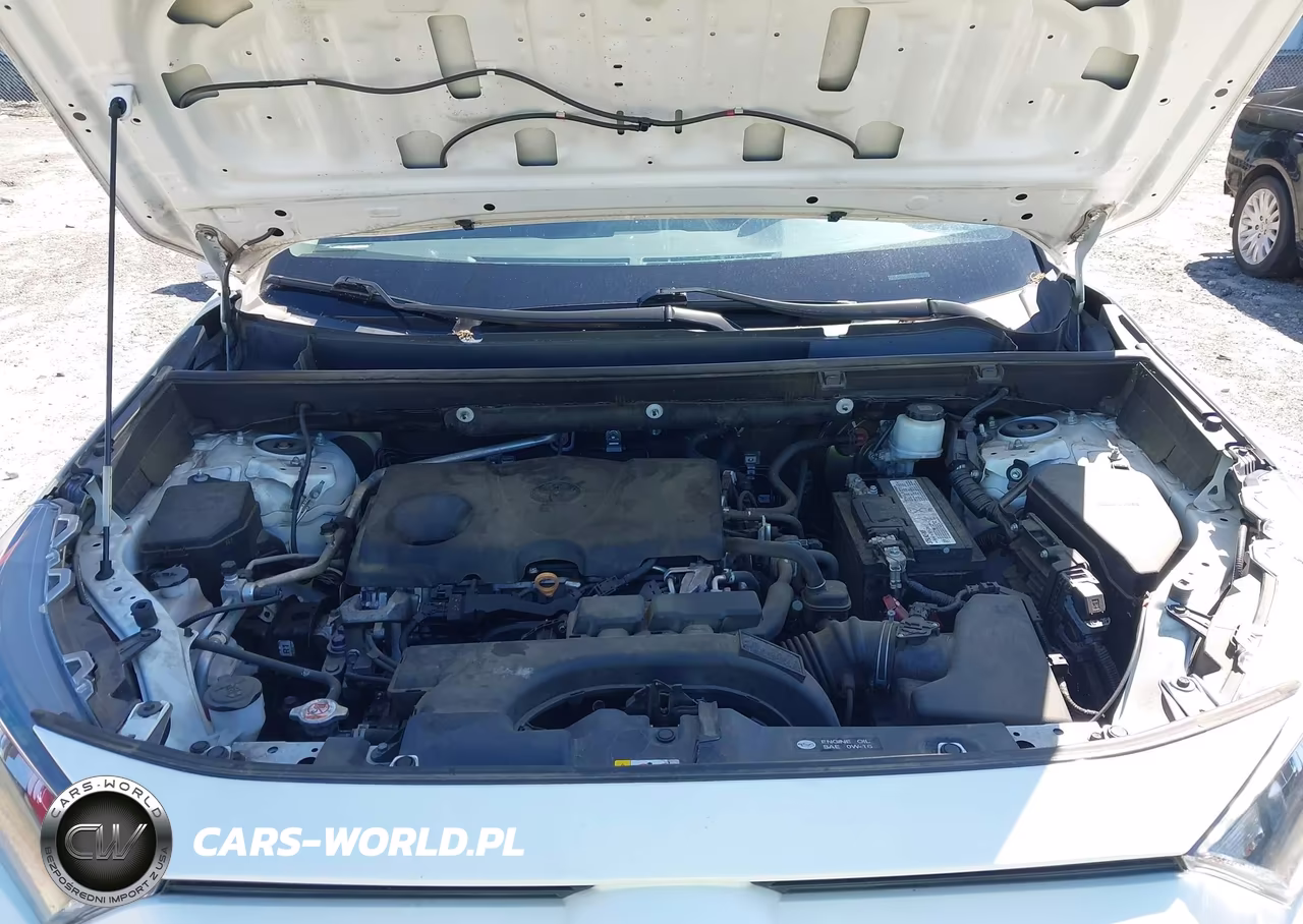 2019 Toyota Rav4 Le VIN:2T3H1RFV9KC007813 - 10