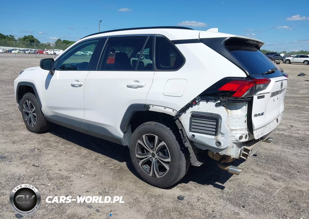 2019 Toyota Rav4 Le VIN:2T3H1RFV9KC007813 - 3