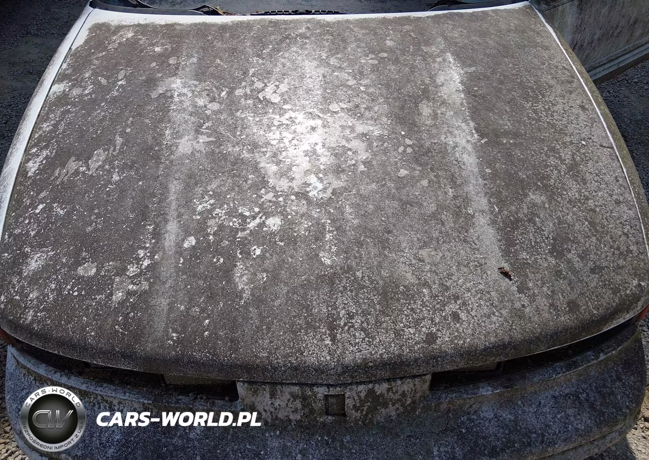 1996 Oldsmobile Cutlass Supreme Sl VIN:1G3WH12M5TF301034 - 10