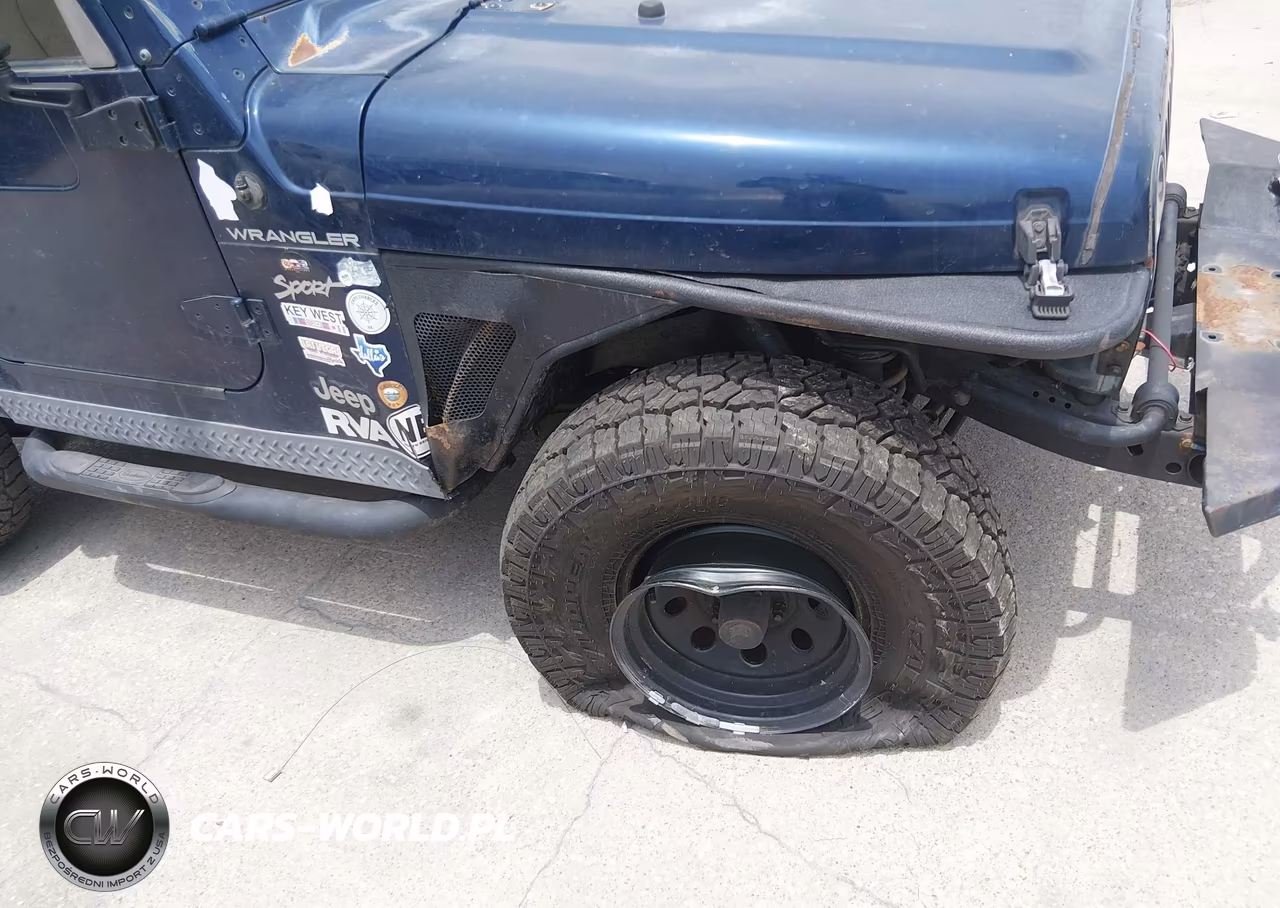 2002 Jeep Wrangler Sport VIN:1J4FA49S92P756448 - 6