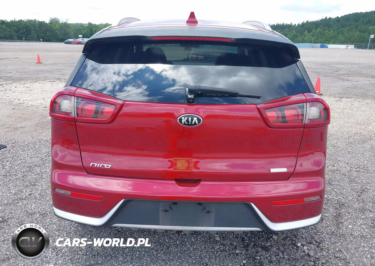 2019 Kia Niro Lx VIN:KNDCB3LC2K5238002 - 16