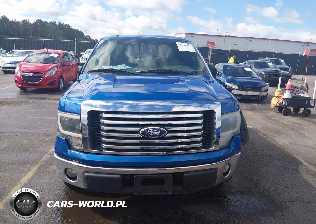 2010 Ford F-150 Fx2 Sport-Harley-Davidson-King Ranch-Lariat-Platinum-Xl-Xlt VIN:1FTFW1CV5AKA17582 - 12
