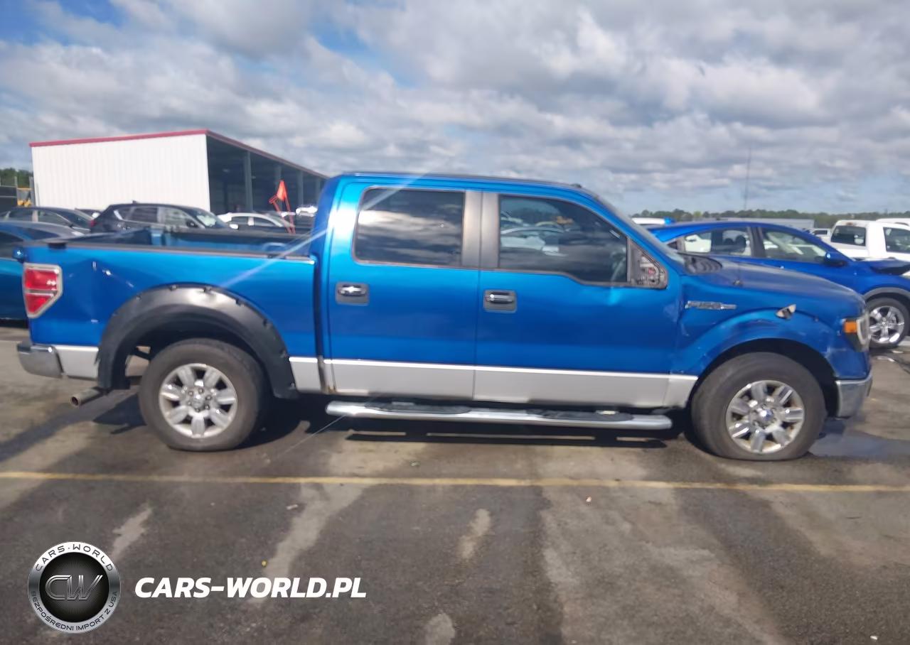 2010 Ford F-150 Fx2 Sport-Harley-Davidson-King Ranch-Lariat-Platinum-Xl-Xlt VIN:1FTFW1CV5AKA17582 - 13
