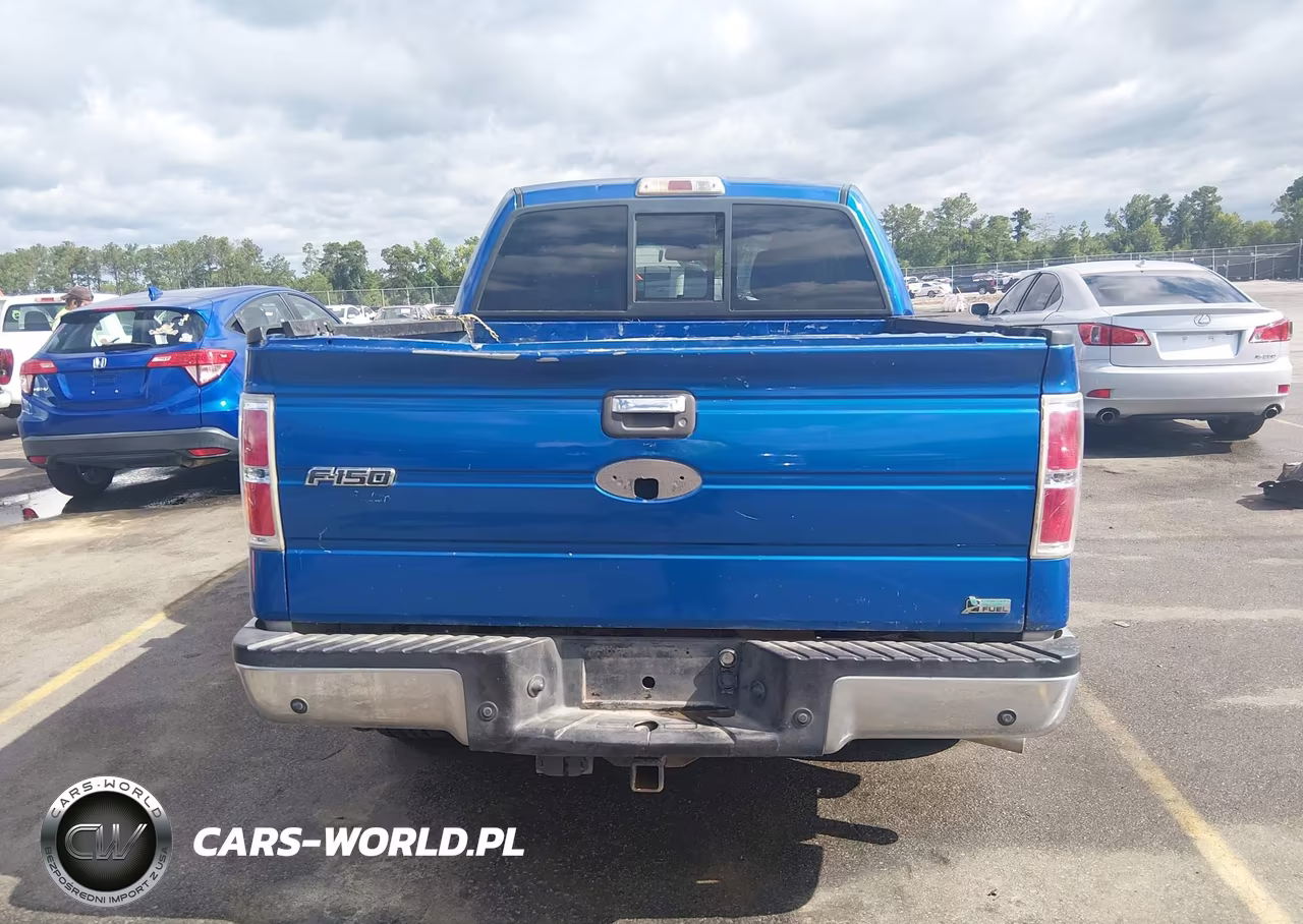 2010 Ford F-150 Fx2 Sport-Harley-Davidson-King Ranch-Lariat-Platinum-Xl-Xlt VIN:1FTFW1CV5AKA17582 - 16