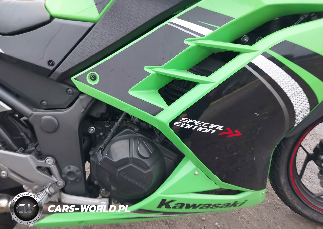 2014 Kawasaki Ex300 A VIN:JKAEX8A17EA002153 - 8