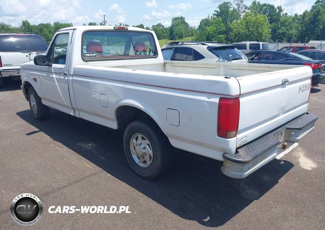 1995 Ford F150 VIN:1FTEF15H9SNB17574 - 3