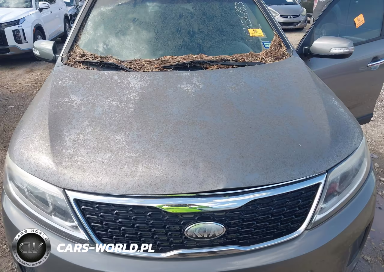 2014 Kia Sorento Lx VIN:5XYKT4A67EG425968 - 10