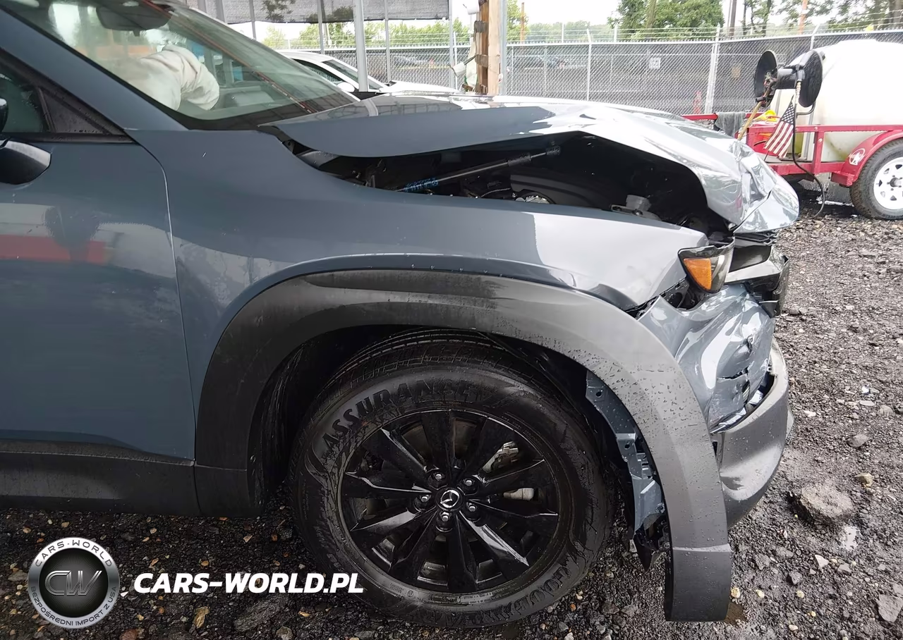 2024 Mazda Cx-50 2.5 S Premium VIN:7MMVABDM8RN244068 - 17