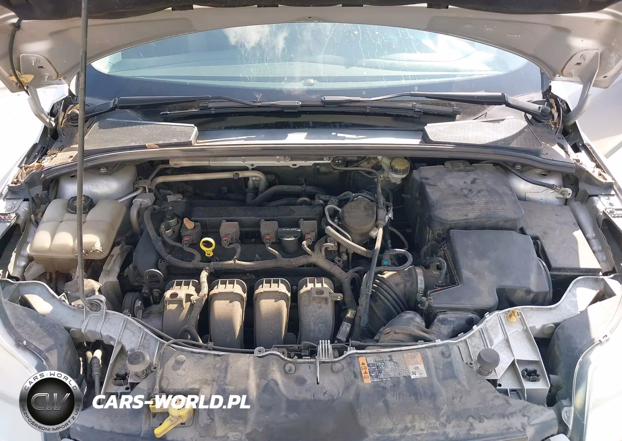2014 Ford Focus Se VIN:1FADP3K25EL354881 - 10