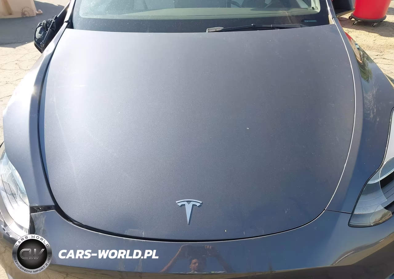 2023 Tesla Model Y Awd-Long Range Dual Motor All-Wheel Drive VIN:7SAYGDEE5PA161157 - 10