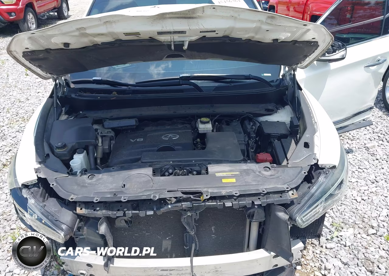 2017 Infiniti Qx60 VIN:5N1DL0MN1HC520521 - 10