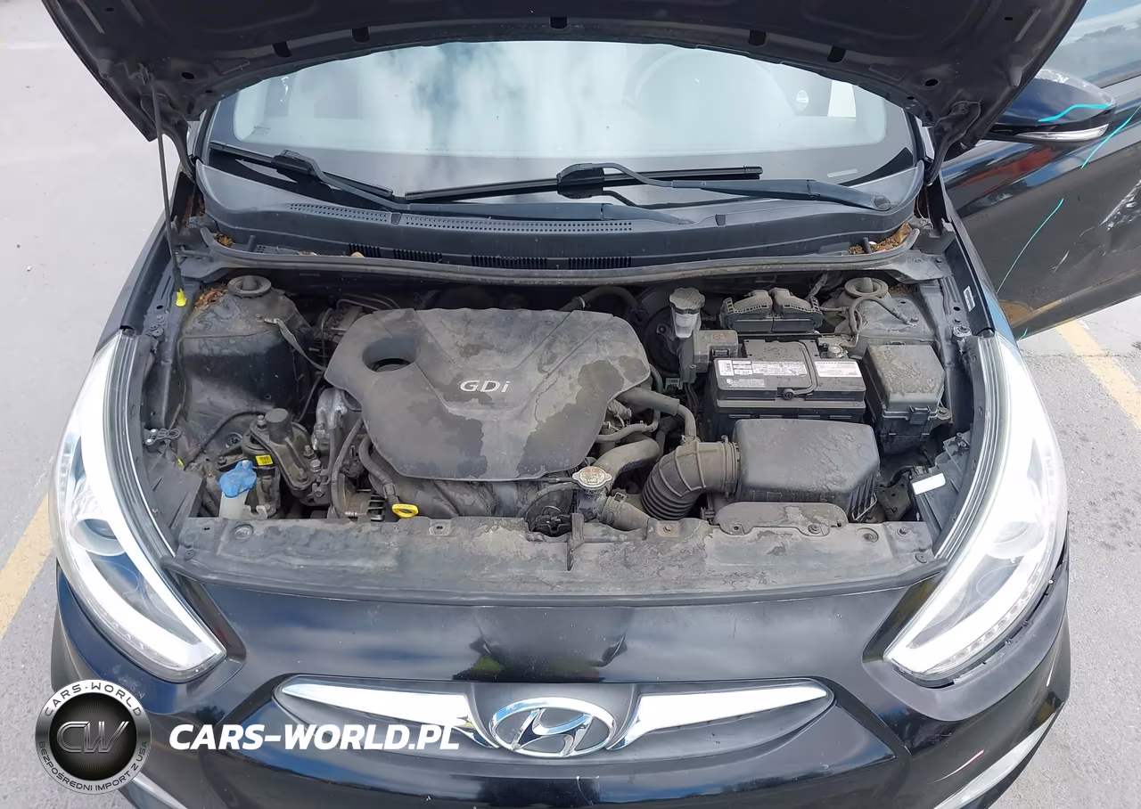 2014 Hyundai Accent Se VIN:KMHCU5AE0EU141932 - 10