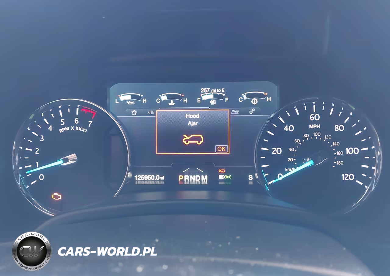 2019 Ford Expedition Max Limited VIN:1FMJK2AT7KEA69899 - 7