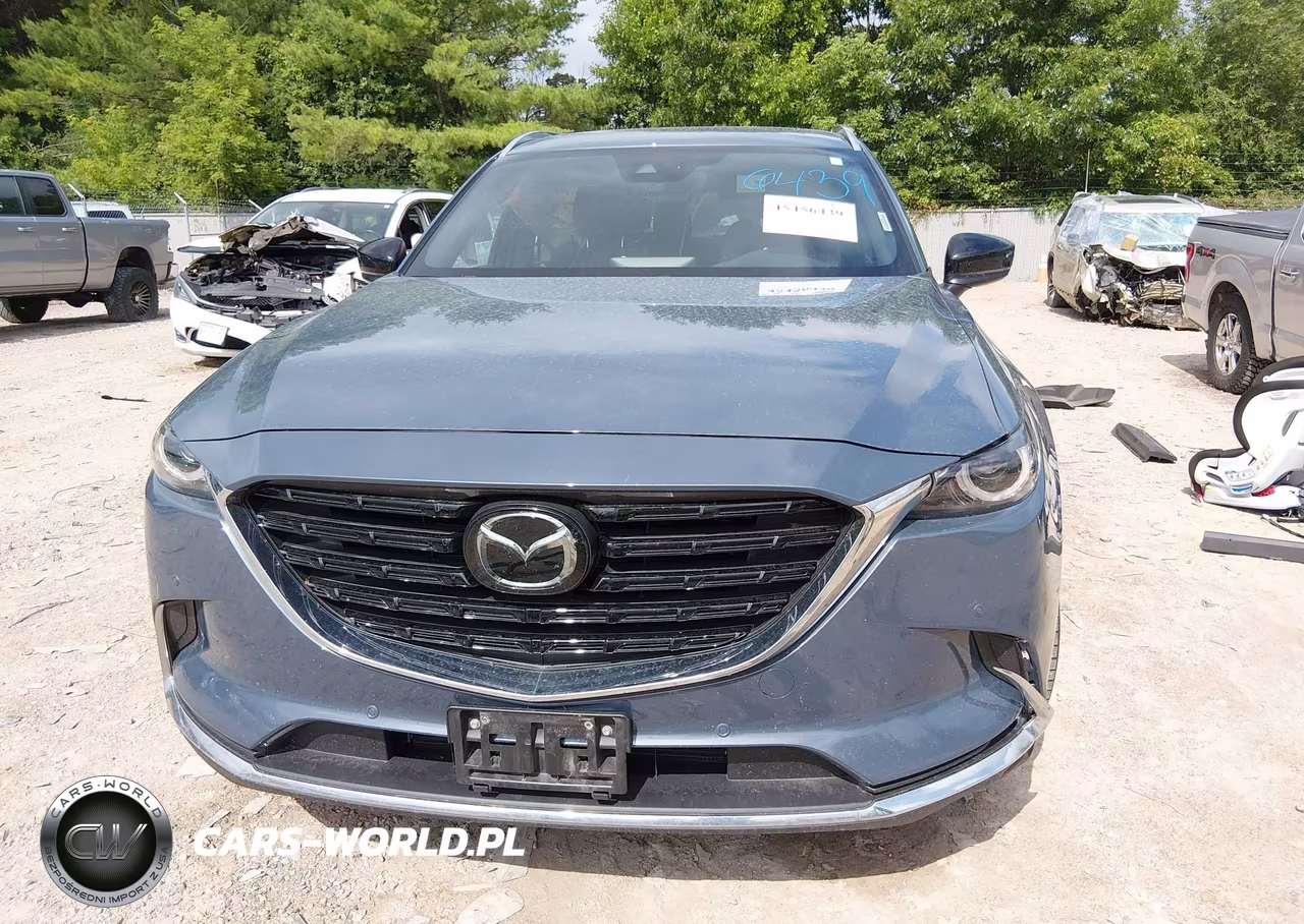 2021 Mazda Cx-9 Carbon Edition VIN:JM3TCBDY9M0502440 - 13