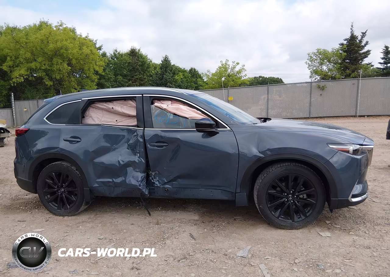 2021 Mazda Cx-9 Carbon Edition VIN:JM3TCBDY9M0502440 - 14