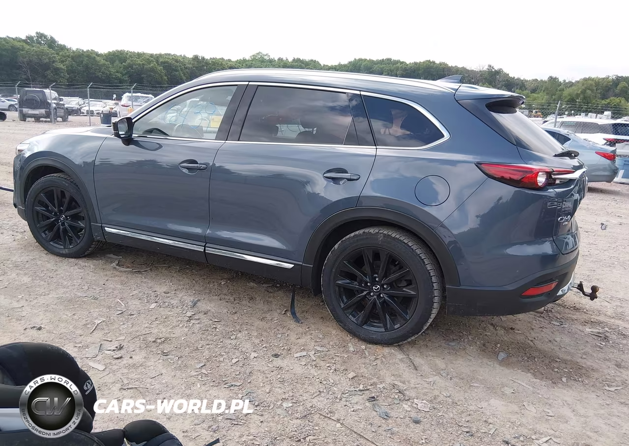 2021 Mazda Cx-9 Carbon Edition VIN:JM3TCBDY9M0502440 - 3