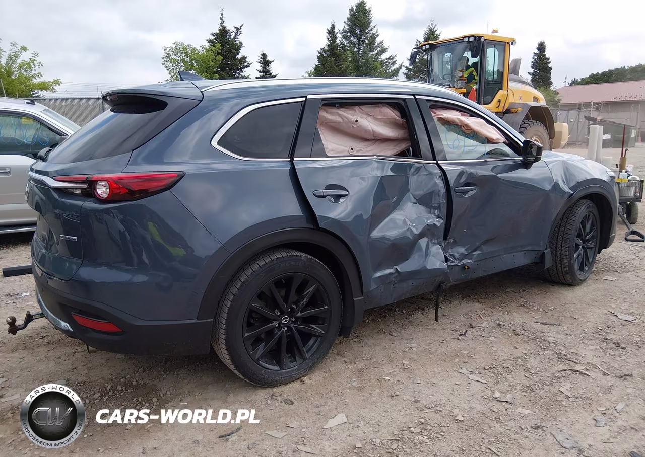 2021 Mazda Cx-9 Carbon Edition VIN:JM3TCBDY9M0502440 - 4