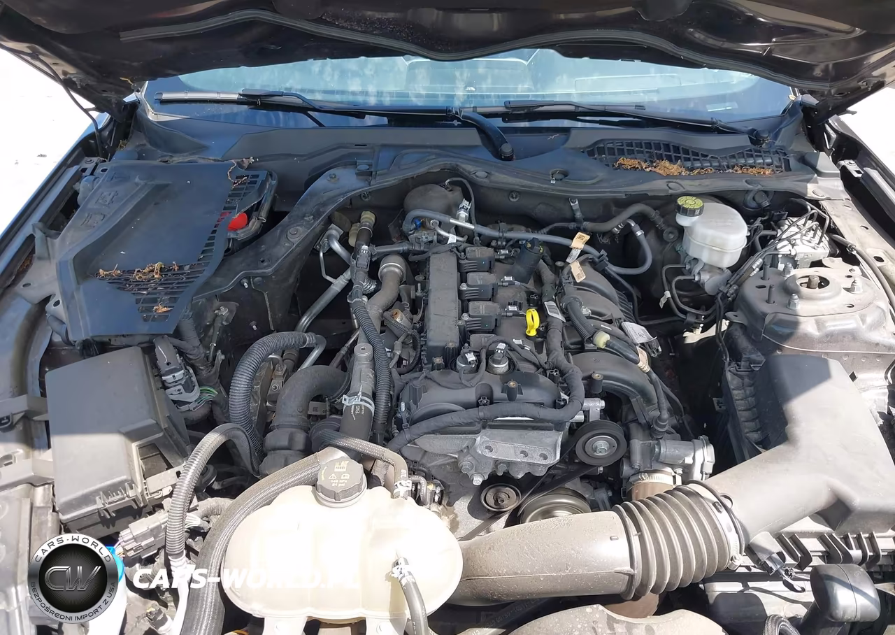 2023 Ford Mustang Ecoboost Premium Fastback VIN:1FA6P8TH7P5106583 - 10