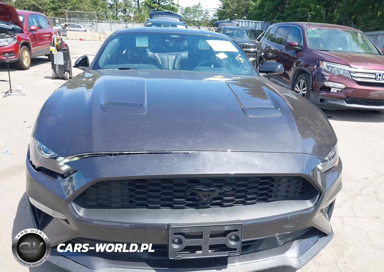 2023 Ford Mustang Ecoboost Premium Fastback VIN:1FA6P8TH7P5106583 - 13