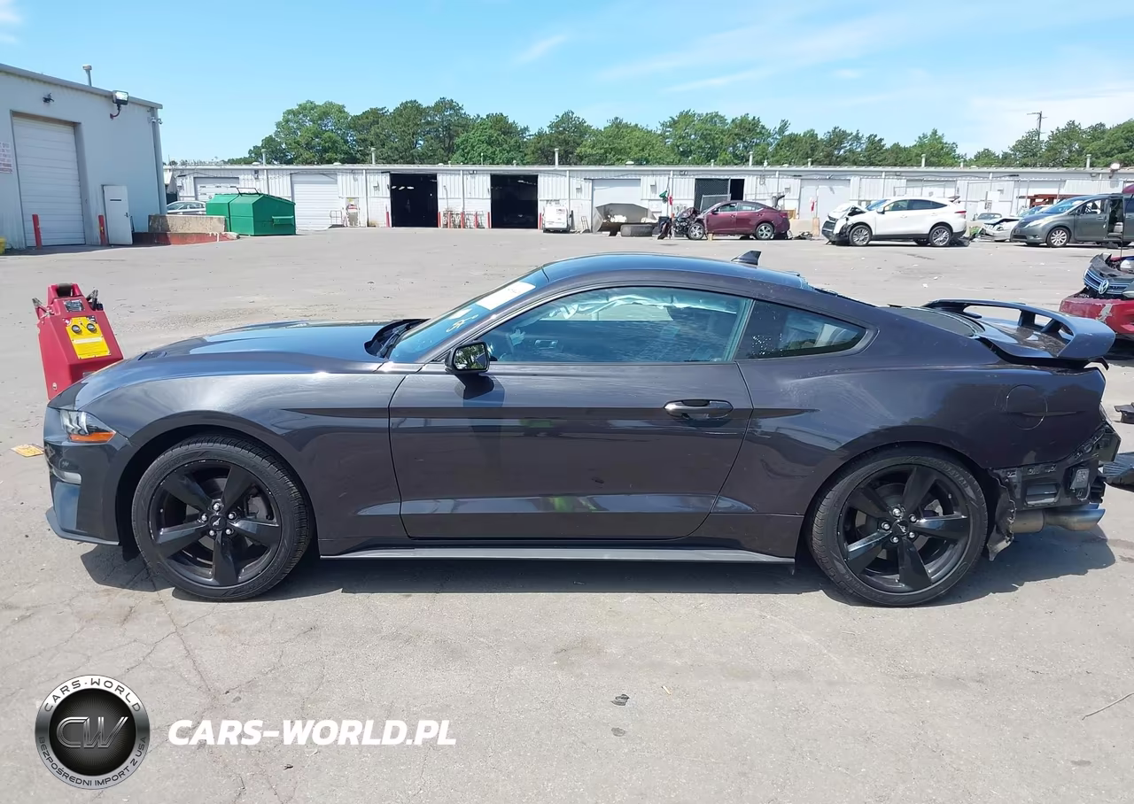2023 Ford Mustang Ecoboost Premium Fastback VIN:1FA6P8TH7P5106583 - 15