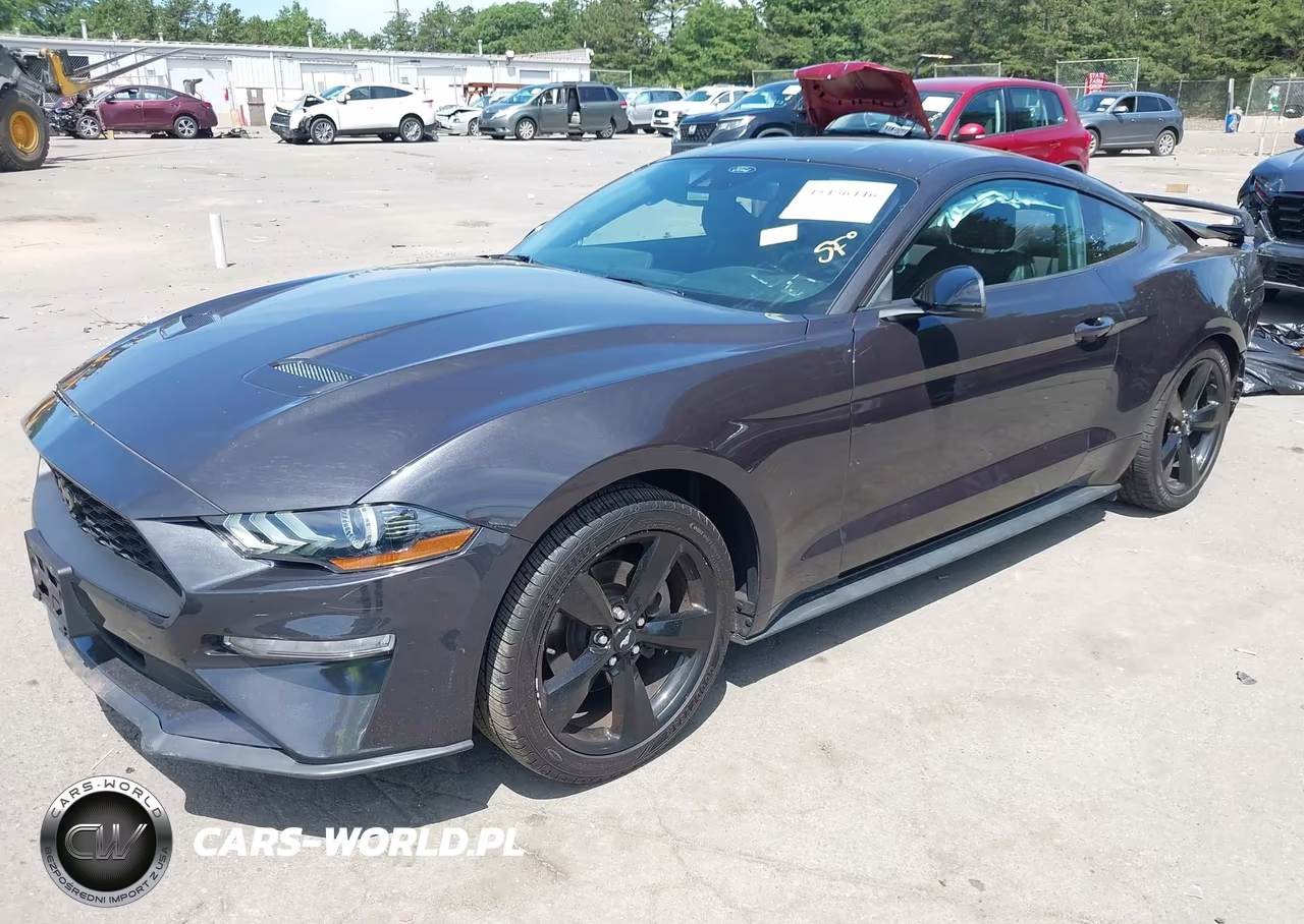 2023 Ford Mustang Ecoboost Premium Fastback VIN:1FA6P8TH7P5106583 - 2
