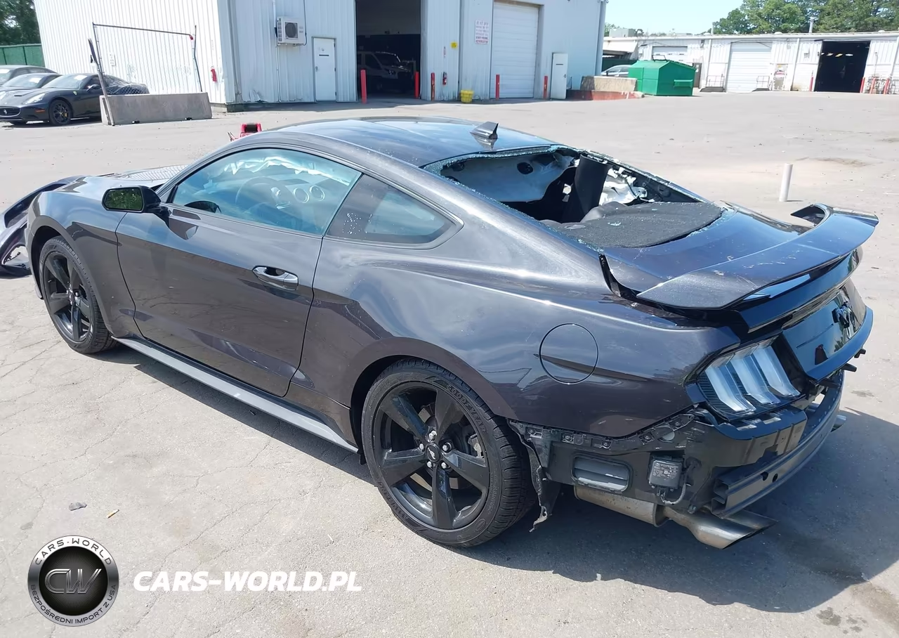 2023 Ford Mustang Ecoboost Premium Fastback VIN:1FA6P8TH7P5106583 - 3
