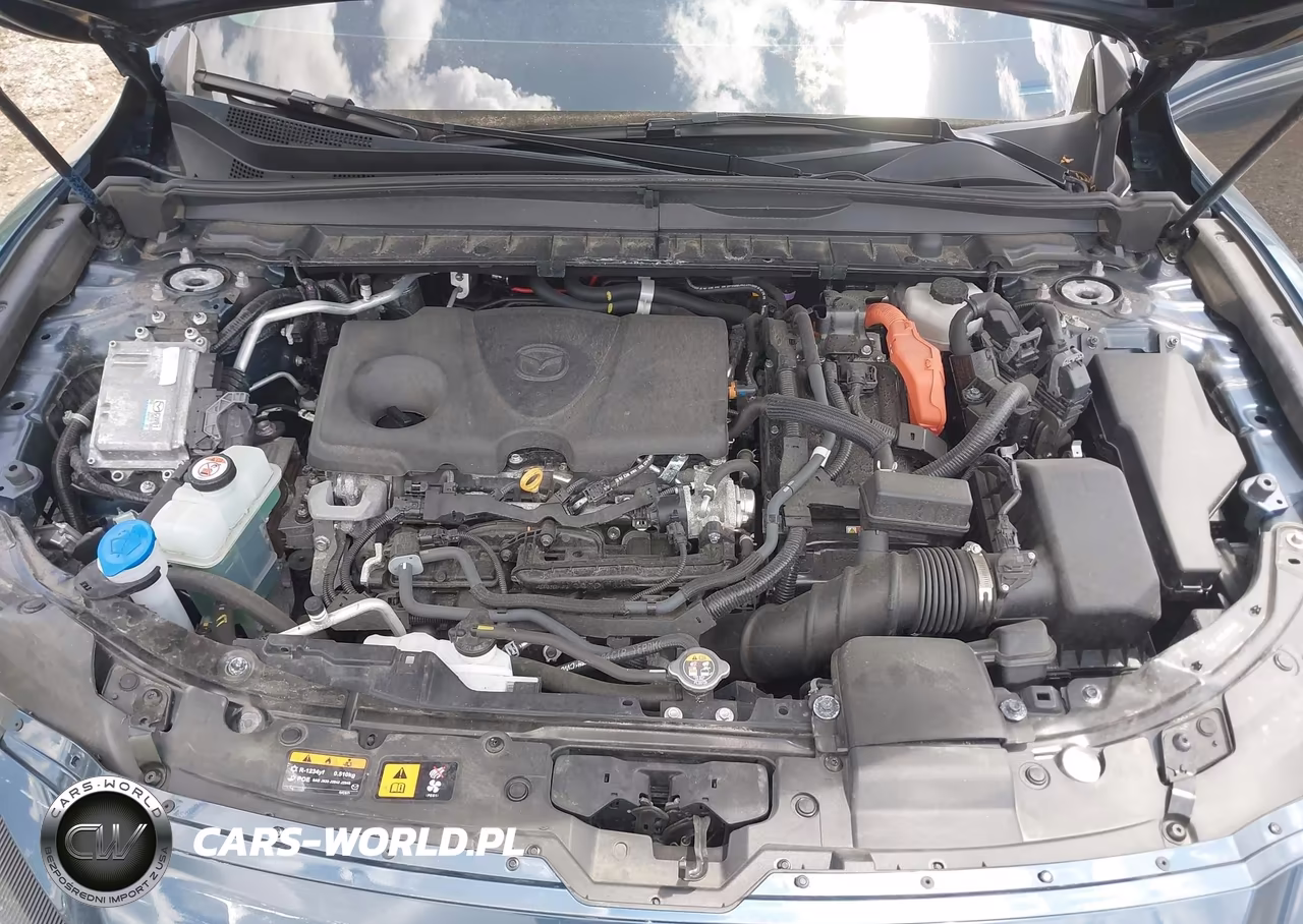 2025 Mazda Cx-50 Hybrid Premium Plus Package VIN:7MMVAAEW7SN120776 - 10
