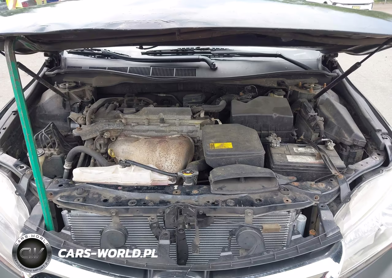 2015 Toyota Camry Se VIN:4T1BF1FK8FU489833 - 10