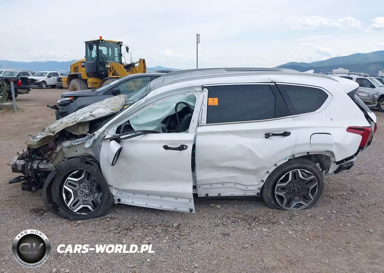 2022 Hyundai Santa Fe Hybrid Sel Premium VIN:KM8S3DA1XNU044355 - 13