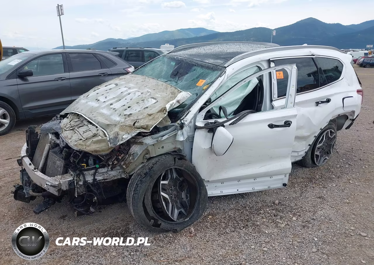 2022 Hyundai Santa Fe Hybrid Sel Premium VIN:KM8S3DA1XNU044355 - 2