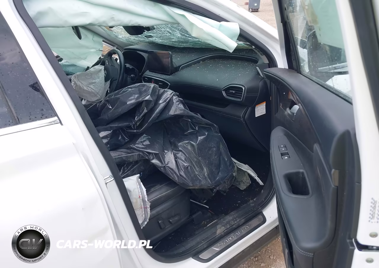 2022 Hyundai Santa Fe Hybrid Sel Premium VIN:KM8S3DA1XNU044355 - 5