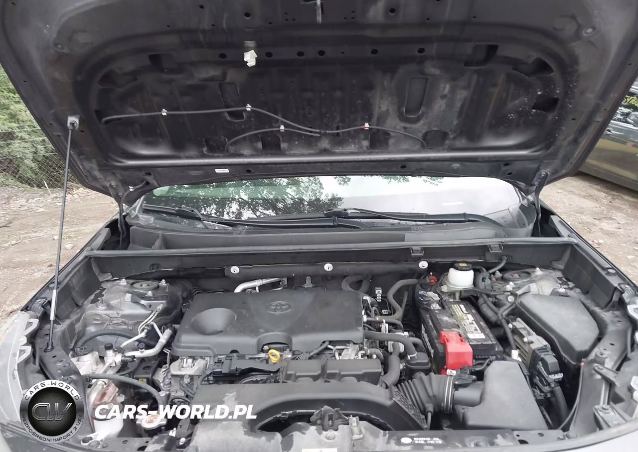 2019 Toyota Rav4 Le VIN:JTMG1RFV5KJ002567 - 10