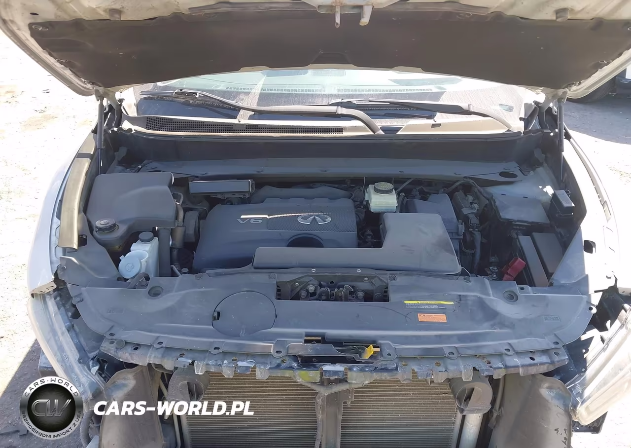2019 Infiniti Qx60 Pure VIN:5N1DL0MN9KC567853 - 10