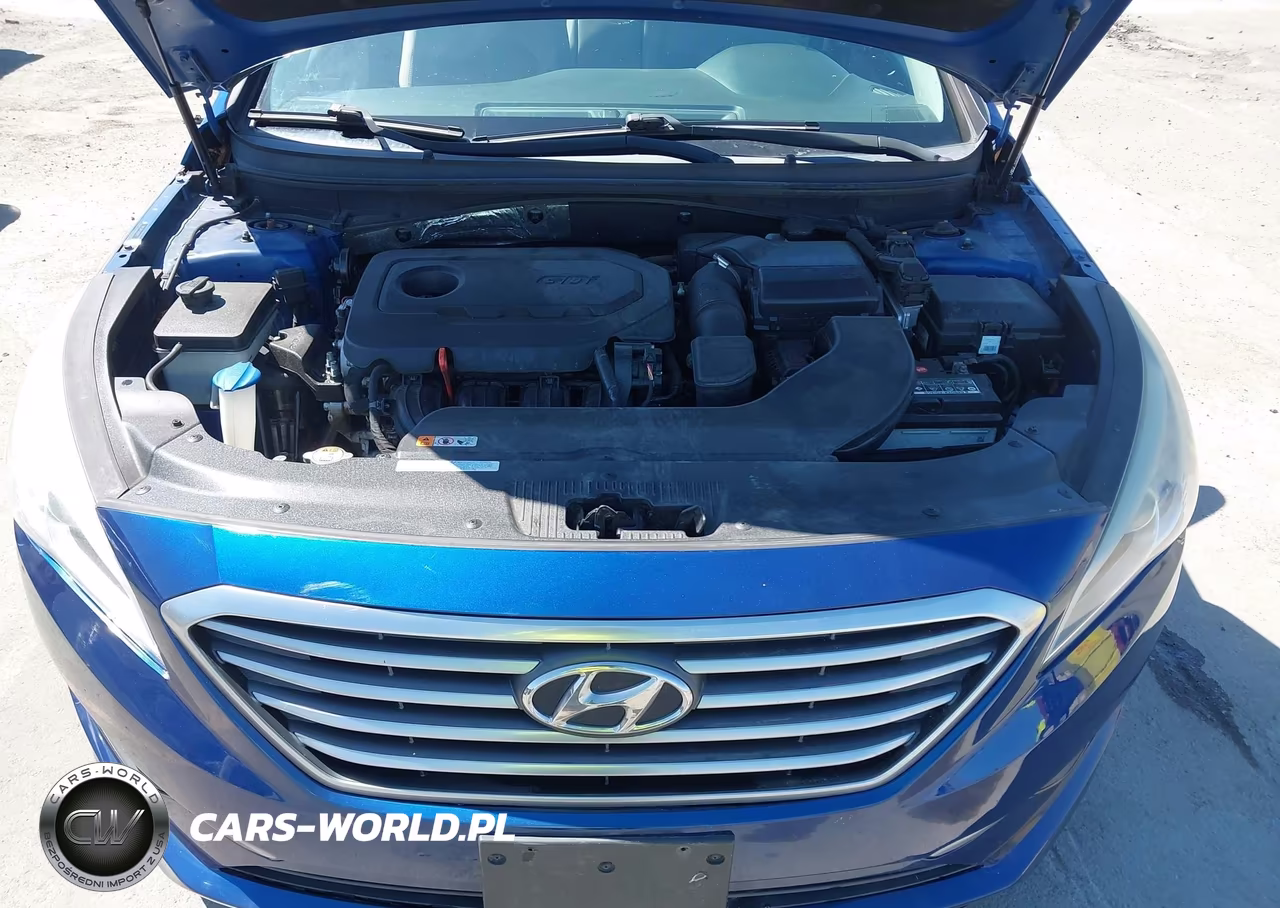 2016 Hyundai Sonata Se VIN:5NPE24AF5GH280117 - 10