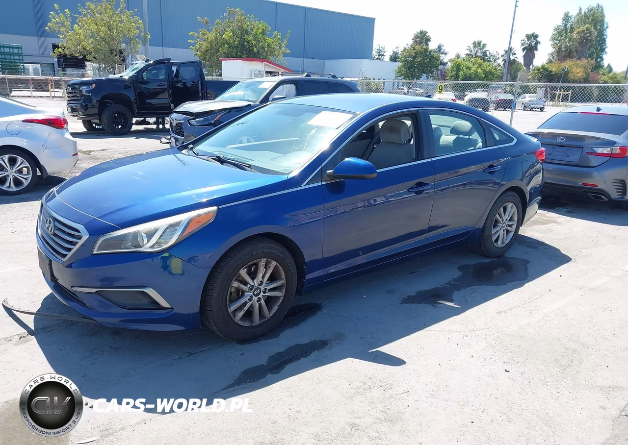 2016 Hyundai Sonata Se VIN:5NPE24AF5GH280117 - 2